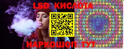 твердый Новозыбков