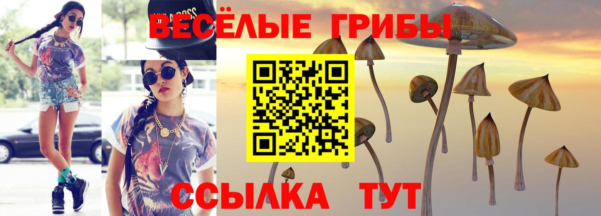 Псилоцибиновые грибы Cubensis  Галлюциногенные грибы Psilocybe  Вход с VPN  Иркутск 